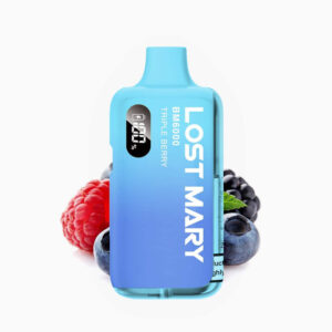 Elfworld 12000 Puffs Mint Menthol Disposable | Vape Store bangalore