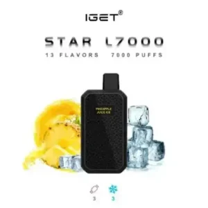 IGET SUN KP20000 Black Ice - Vape Store Delhi